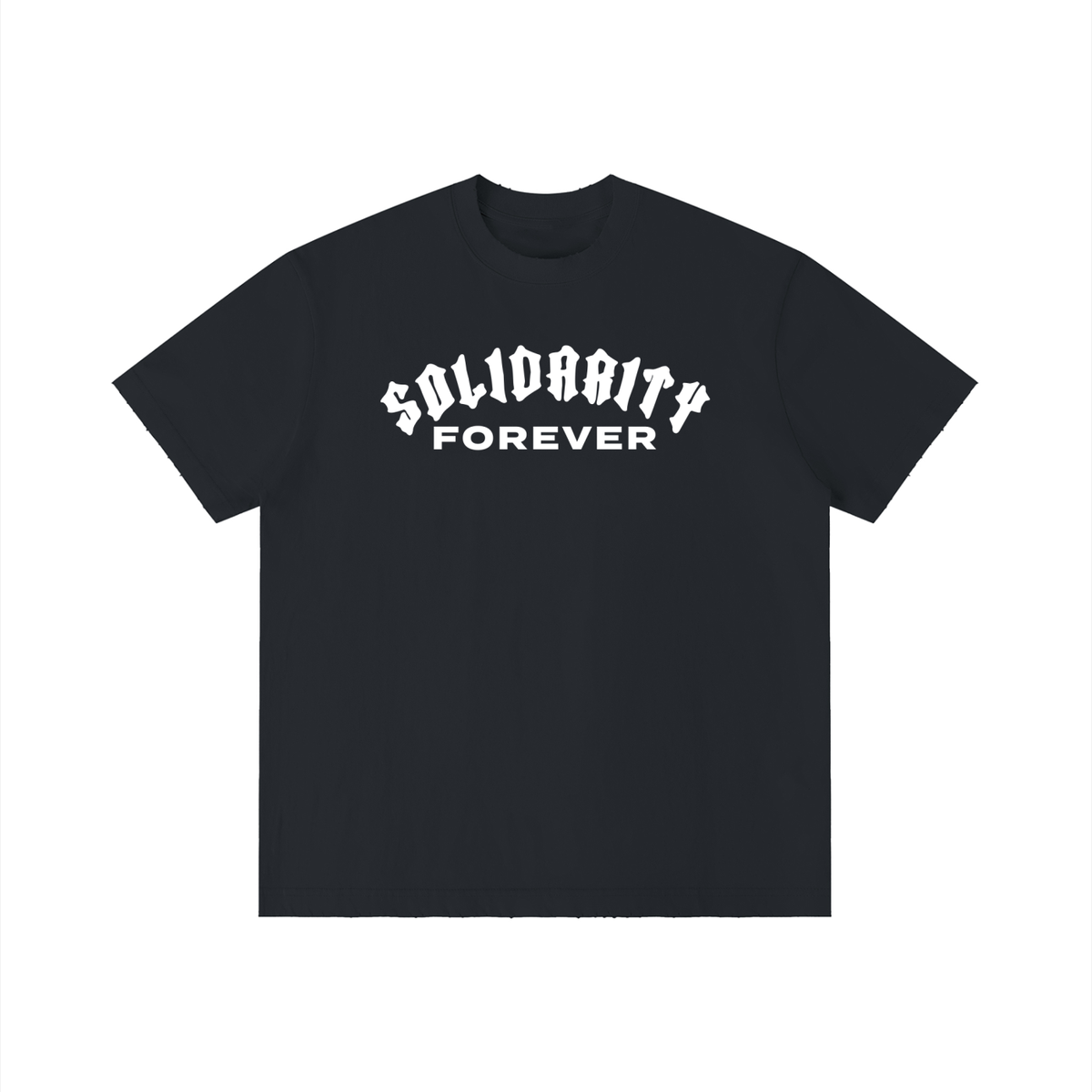 Solidarity Forever Unisex Vintage Wash Distressed T-Shirt