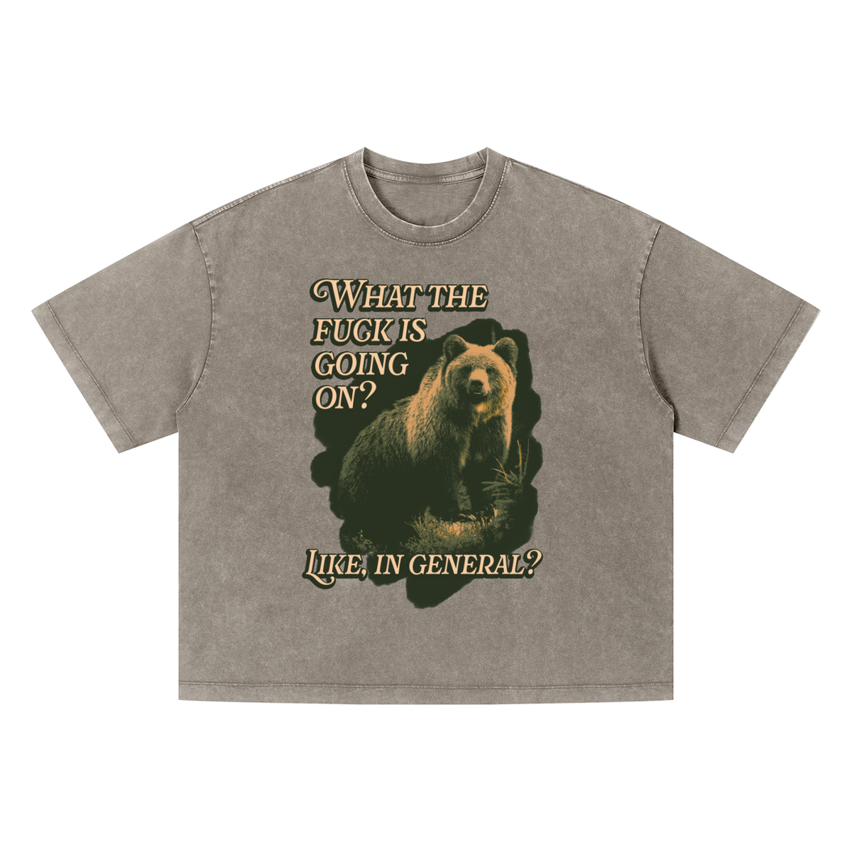 WTF Bear? Unisex Vintage Wash Boxy T-Shirt