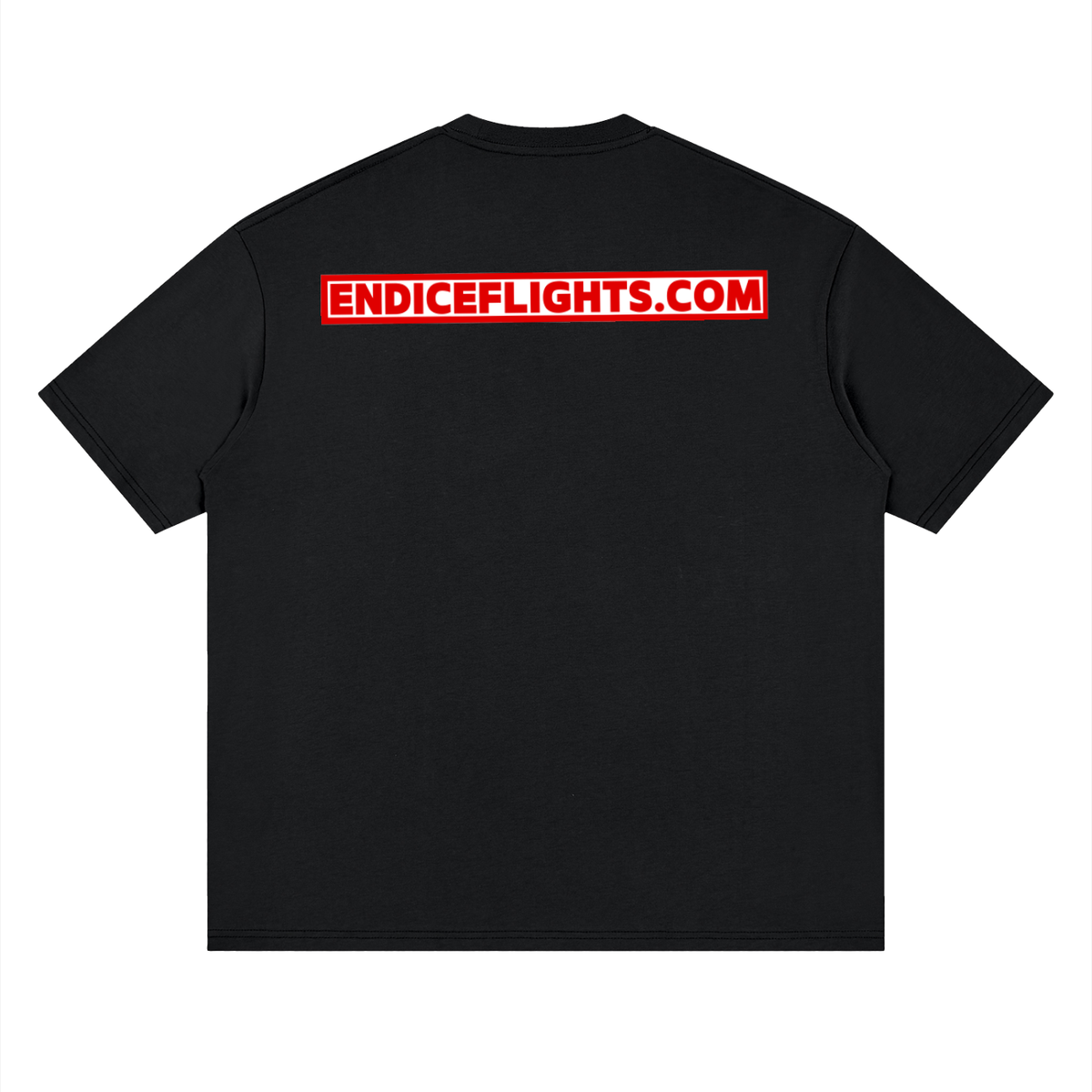 ICE Flights Protest T-Shirt